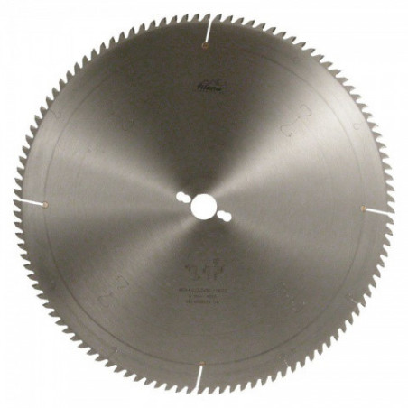 Pilový kotouč SK 5387-13 TFZ N